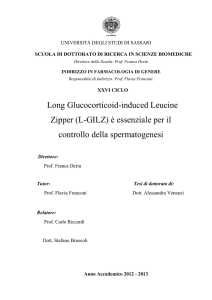 Long Glucocorticoid-induced Leucine Zipper (L