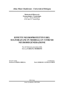 - AMS Tesi di Dottorato