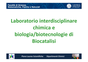 Laboratorio interdisciplinare chimica e biologia/biotecnologie di