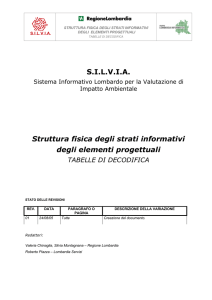 SILVIA Struttura fisica degli strati informativi degli elementi progettuali