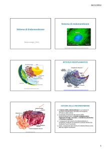 Sistema di Endomembrane Sistema di endomembrane