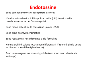 Endotossine - patgen-INF