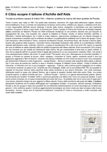 Rassegna stampa - Università di Trento