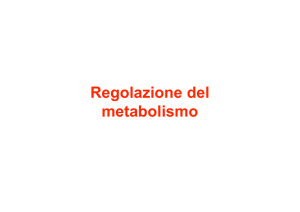 17-Integrazione metabolismo