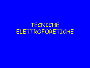 tecniche elettroforetiche - Progetto e