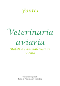 veterinario aviario