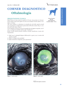 CORNER DIAGNOSTICO Oftalmologia
