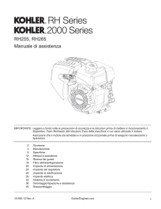 RH255, RH265 Manuale di assistenza