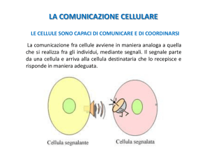 LA COMUNICAZIONE CELLULARE