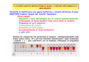 1Microbiologia-introduzionePt2SE09