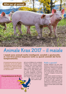 Animale Krax 2017 – il maiale