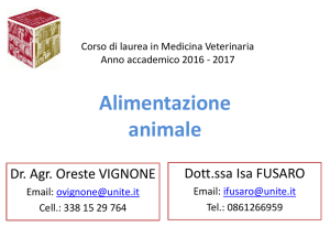 Introduzione al corso File - Progetto e