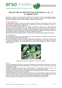 BOLLETTINO DI ORTICOLTURA BIOLOGICA N. 01_17 31 MARZO