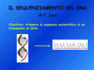 sequenziamento del DNA
