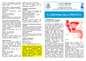 Diapositiva 1 - Maggiore della Carità