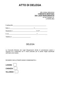 modulo domanda 2011 foglio A4 - Comunità Montana dei laghi