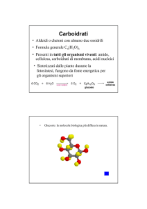 Chimica Organica Carboidrati
