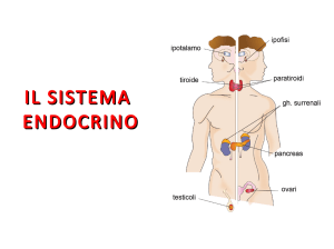 il sistema endocrino - Aula Virtual Maristas Mediterránea