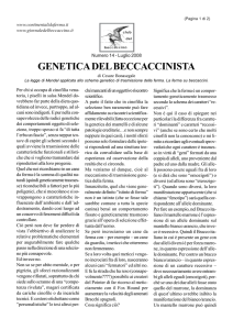 GENETICA DEL BECCACCINISTA di C