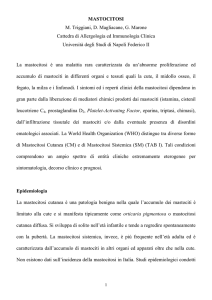 MASTOCITOSI M. Triggiani, D. Magliacane, G. Marone Cattedra di