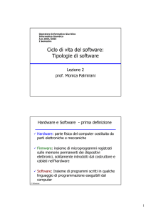 Ciclo di vita del software: Tipologie di software