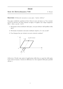 Serie 33: Elettrodinamica VIII