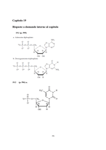 Capitolo 19 - Ateneonline