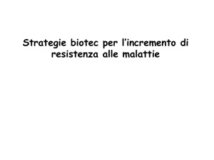 lezione gruppo 6 strategie incremento di resistenza