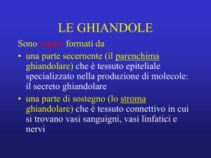 le ghiandole - Blog di biot3