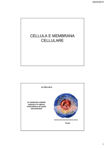 CELLULA E MEMBRANA CELLULARE