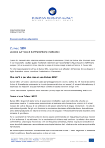 Zulvac SBV, INN- Inactivated Schmallenberg - EMA