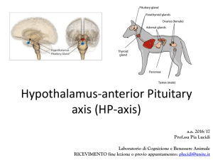 1-hypothalamus ant pituitary axis - Progetto e