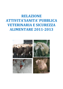 relazione attivita`sanita` pubblica veterinaria e sicurezza