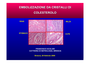 Diapositive in formato pdf