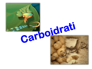 3-carboidrati_2016