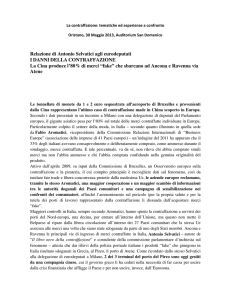 Relazione di Antonio Selvatici agli eurodeputati I