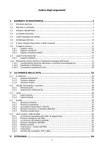 1 Indice degli argomenti