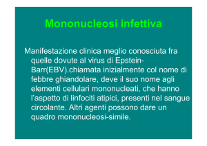 Mononucleosi e Citomegalovirus
