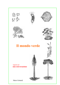Il mondo verde - Gruppo Micologico Naturalistico Ancona