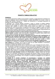 scheda tecnica - Fondazione Paladini
