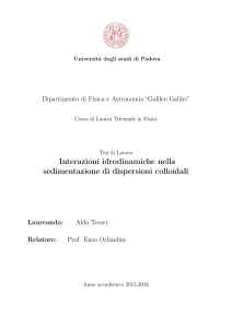 Interazioni idrodinamiche nella sedimentazione di dispersioni