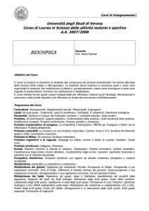 Programma (pdf, it, 29 KB, 10/19/07) - univr dsnm