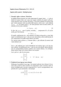 Algabra lineare (Matematica C.I.) - 19.11.13 Algebra delle matrici