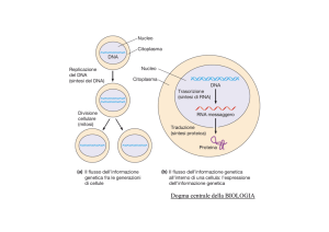 Lezione 10 DNA