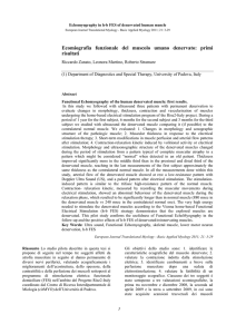 Ecomiografia funzionale del muscolo umano denervato: primi risultati