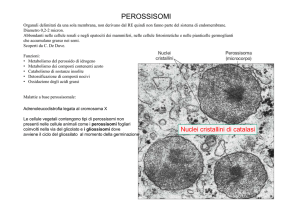 Lezione 5 I perossisomi Il nucleo Le membrane biologiche [modalità
