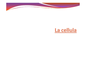 Lezione2_La cellula