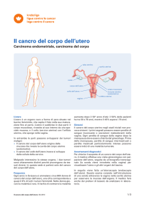 Scheda informativa: Il cancro del corpo dell`utero