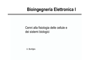 Bioingegneria Elettronica I - Ingegneria elettrica ed elettronica