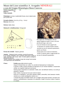 Autunnite Fosfato prov Cuneo scheda n 142